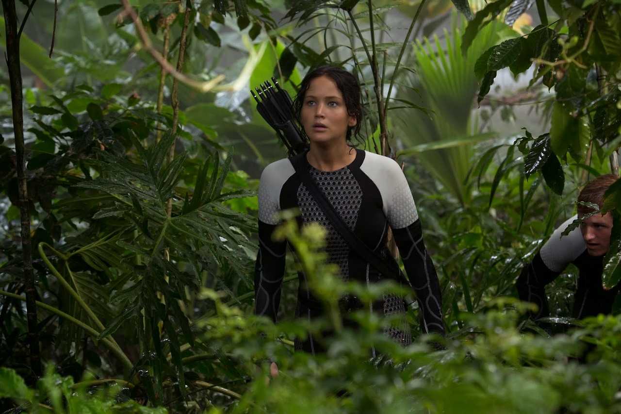 The Hunger Games: Catching Fire (2013)-in-Netherlands