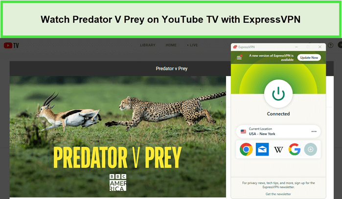 Watch-Predator-V-Prey-in-Hong Kong-on-YouTube-TV-with-ExpressVPN